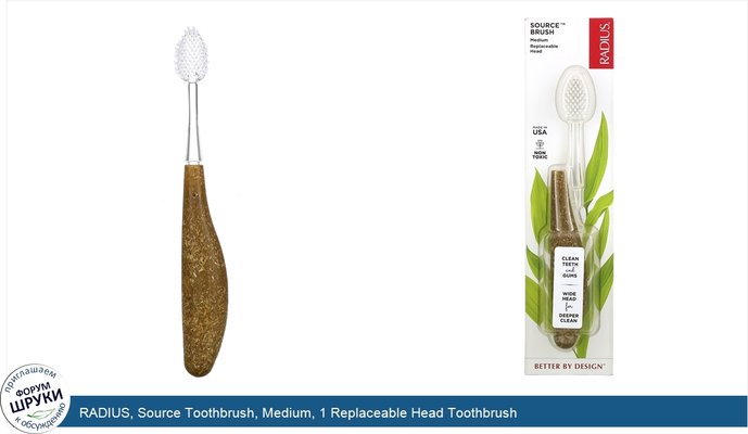 RADIUS, Source Toothbrush, Medium, 1 Replaceable Head Toothbrush