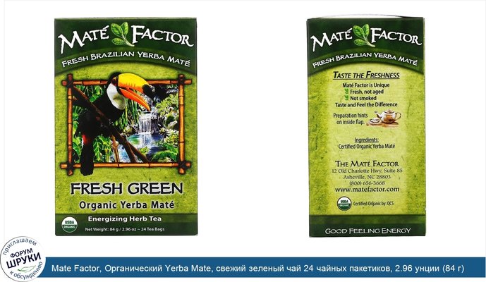 Mate Factor, Органический Yerba Mate, свежий зеленый чай 24 чайных пакетиков, 2.96 унции (84 г)