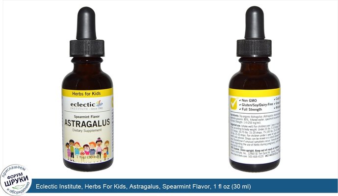 Eclectic Institute, Herbs For Kids, Astragalus, Spearmint Flavor, 1 fl oz (30 ml)