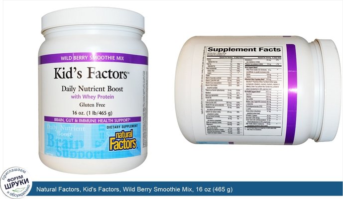 Natural Factors, Kid\'s Factors, Wild Berry Smoothie Mix, 16 oz (465 g)