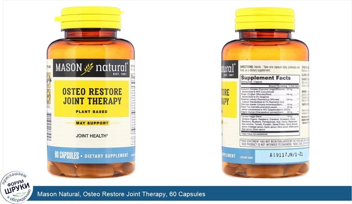 Mason Natural, Osteo Restore Joint Therapy, 60 Capsules