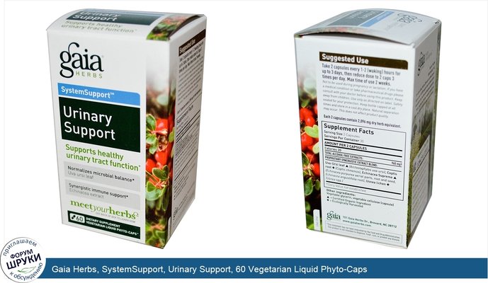 Gaia Herbs, SystemSupport, Urinary Support, 60 Vegetarian Liquid Phyto-Caps
