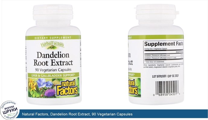 Natural Factors, Dandelion Root Extract, 90 Vegetarian Capsules