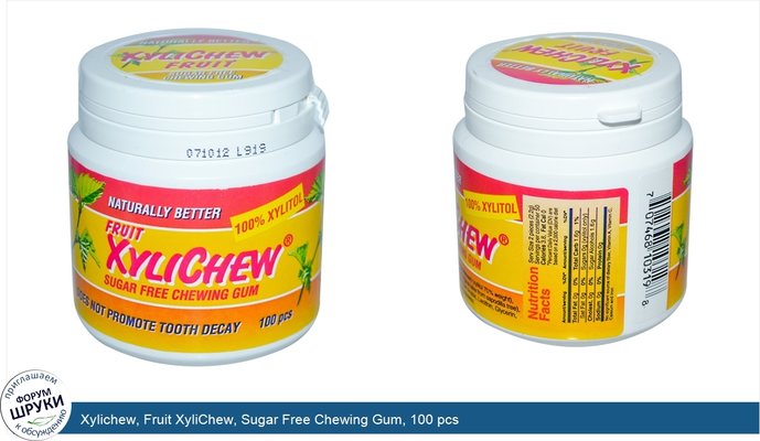 Xylichew, Fruit XyliChew, Sugar Free Chewing Gum, 100 pcs