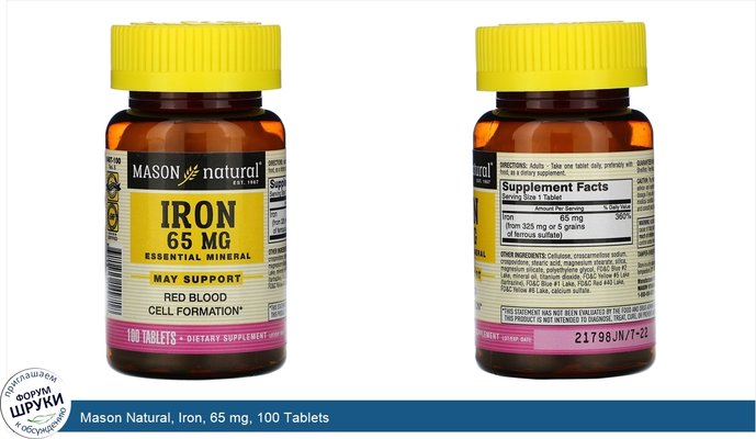 Mason Natural, Iron, 65 mg, 100 Tablets