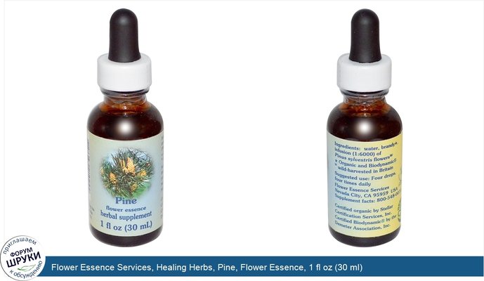 Flower Essence Services, Healing Herbs, Pine, Flower Essence, 1 fl oz (30 ml)