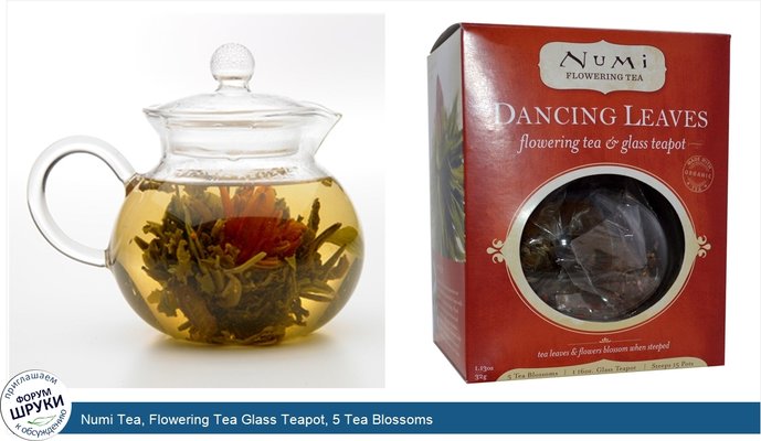 Numi Tea, Flowering Tea Glass Teapot, 5 Tea Blossoms