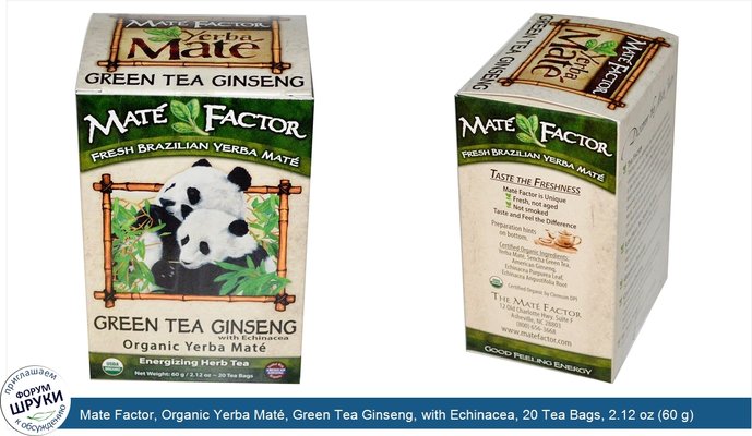 Mate Factor, Organic Yerba Maté, Green Tea Ginseng, with Echinacea, 20 Tea Bags, 2.12 oz (60 g)