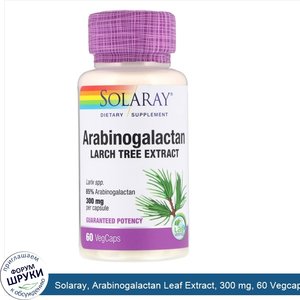 Solaray__Arabinogalactan_Leaf_Extract__300_mg__60_Vegcaps.jpg