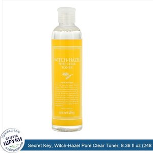 Secret_Key__Witch_Hazel_Pore_Clear_Toner__8.38_fl_oz__248_ml_.jpg