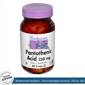 Bluebonnet_Nutrition__Пантотеновая_кислота__250_мг__60_растительных_капсул.jpg