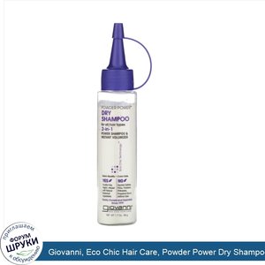 Giovanni__Eco_Chic_Hair_Care__Powder_Power_Dry_Shampoo__1.7_oz__48_g_.jpg