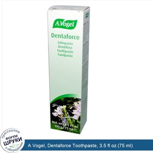 A_Vogel__Dentaforce_Toothpaste__3.5_fl_oz__75_ml_.jpg