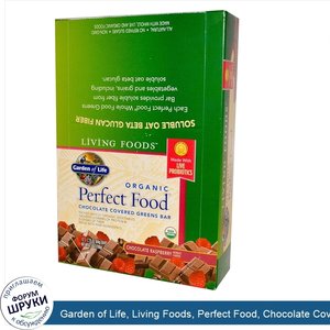 Garden_of_Life__Living_Foods__Perfect_Food__Chocolate_Covered_Greens_Bar__Chocolate_Raspberry_...jpg