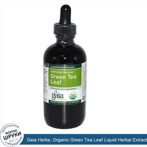 Gaia_Herbs__Organic_Green_Tea_Leaf_Liquid_Herbal_Extract__4_fl_oz__120_ml_.jpg
