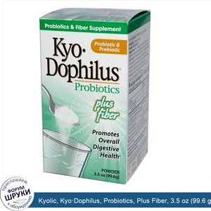 Kyolic__Kyo_Dophilus__Probiotics__Plus_Fiber__3.5_oz__99.6_g__Powder.jpg