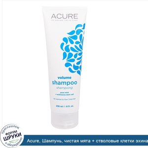 Acure__Шампунь__чистая_мята___стволовые_клетки_эхинацеи__8_жидких_унций__235_мл_.jpg