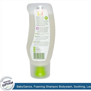 BabyGanics__Foaming_Shampoo_Bodywash__Soothing__Lavender__10.65_oz__315_ml_.jpg