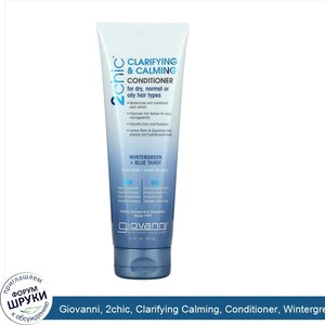 Giovanni__2chic__Clarifying_Calming__Conditioner__Wintergreen___Blue_Tansy__8.5_fl_oz__250_ml_.jpg