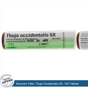 Boericke_Tafel__Thuja_Occidentalis_6X__100_Tablets.jpg