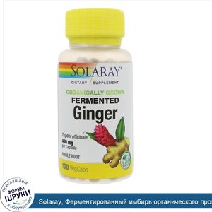 Solaray__Ферментированный_имбирь_органического_происхождения__400_мг__100_капсул_растительного...jpg