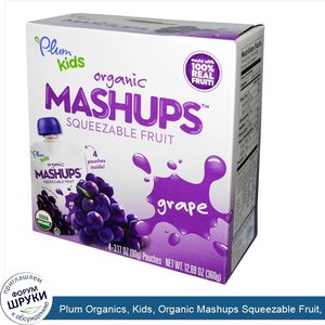 Plum_Organics__Kids__Organic_Mashups_Squeezable_Fruit__Grape__4_Pouches__3.17_oz__90_g__Each.jpg