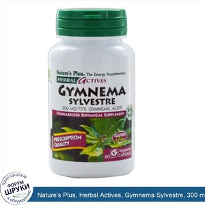 Nature_s_Plus__Herbal_Actives__Gymnema_Sylvestre__300_mg__60_Veggie_Caps.jpg