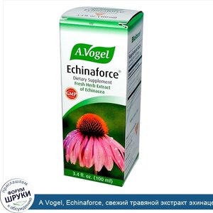 A_Vogel__Echinaforce__свежий_травяной_экстракт_эхинацеи__100_мл__3_4_жидких_унций_.jpg
