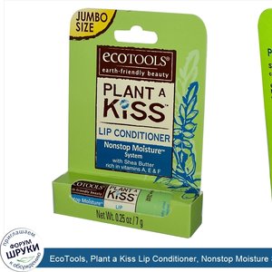 EcoTools__Plant_a_Kiss_Lip_Conditioner__Nonstop_Moisture_System__0.25_oz__7_g_.jpg