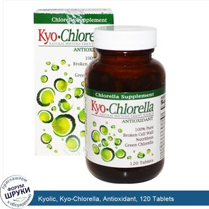 Kyolic__Kyo_Chlorella__Antioxidant__120_Tablets.jpg