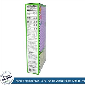 Annie_s_Homegrown__D.W._Whole_Wheat_Pasta_Alfredo__Macaroni_Cheese__6_oz__170_g_.jpg