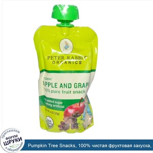 Pumpkin_Tree_Snacks__100__чистая_фруктовая_закуска__яблоко_и_виноград_4_унции__113_г_.jpg