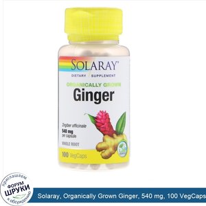 Solaray__Organically_Grown_Ginger__540_mg__100_VegCaps.jpg