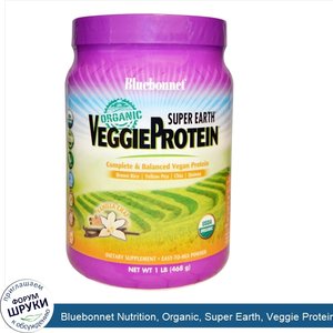 Bluebonnet_Nutrition__Organic__Super_Earth__Veggie_Protein__Vanilla_Chai__1_lb__468_g_.jpg