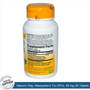 Nature_s_Way__Masquelier_s_Tru_OPCs__50_mg__90_Tablets.jpg