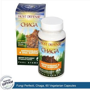 Fungi_Perfecti__Chaga__60_Vegetarian_Capsules.jpg