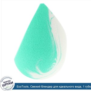 EcoTools__Свежий_блендер_для_идеального_вида__1_губка.jpg