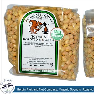 Bergin_Fruit_and_Nut_Company__Organic_Soynuts__Roasted_Salted__9_oz.jpg