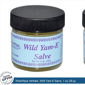 WiseWays_Herbals__Wild_Yam_E_Salve__1_oz__28_g_.jpg