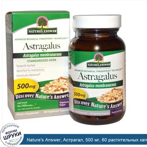 Nature_s_Answer__Астрагал__500_мг__60_растительных_капсул.jpg