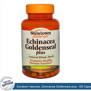 Sundown_Naturals__Echinacea_Goldenseal_plus__100_Capsules.jpg