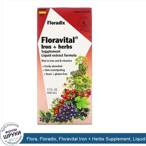 Flora__Floradix__Floravital_Iron___Herbs_Supplement__Liquid_Extract_Formula__17_fl_oz__500_ml_.jpg