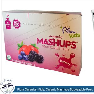 Plum_Organics__Kids__Organic_Mashups_Squeezable_Fruit__Berry__6_Pouches__3.17_oz__90_g__Each.jpg