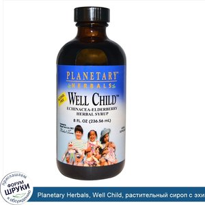 Planetary_Herbals__Well_Child__растительный_сироп_с_эхинацеей_и_бузиной__без_спирта__236_56_мл.jpg