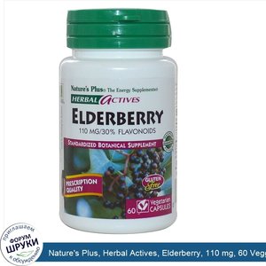 Nature_s_Plus__Herbal_Actives__Elderberry__110_mg__60_Veggie_Caps.jpg