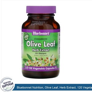 Bluebonnet_Nutrition__Olive_Leaf__Herb_Extract__120_Vegetable_Capsules.jpg