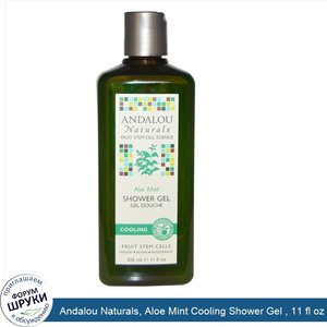 Andalou_Naturals__Aloe_Mint_Cooling_Shower_Gel___11_fl_oz__326_ml_.jpg