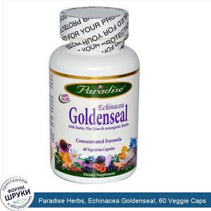 Paradise_Herbs__Echinacea_Goldenseal__60_Veggie_Caps.jpg
