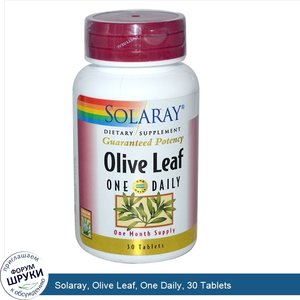 Solaray__Olive_Leaf__One_Daily__30_Tablets.jpg