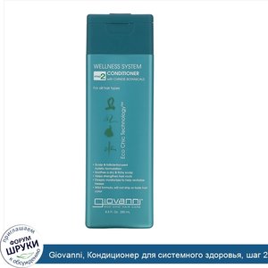 Giovanni__Кондиционер_для_системного_здоровья__шаг_2__8.5_жидких_унций__250_мл_.jpg